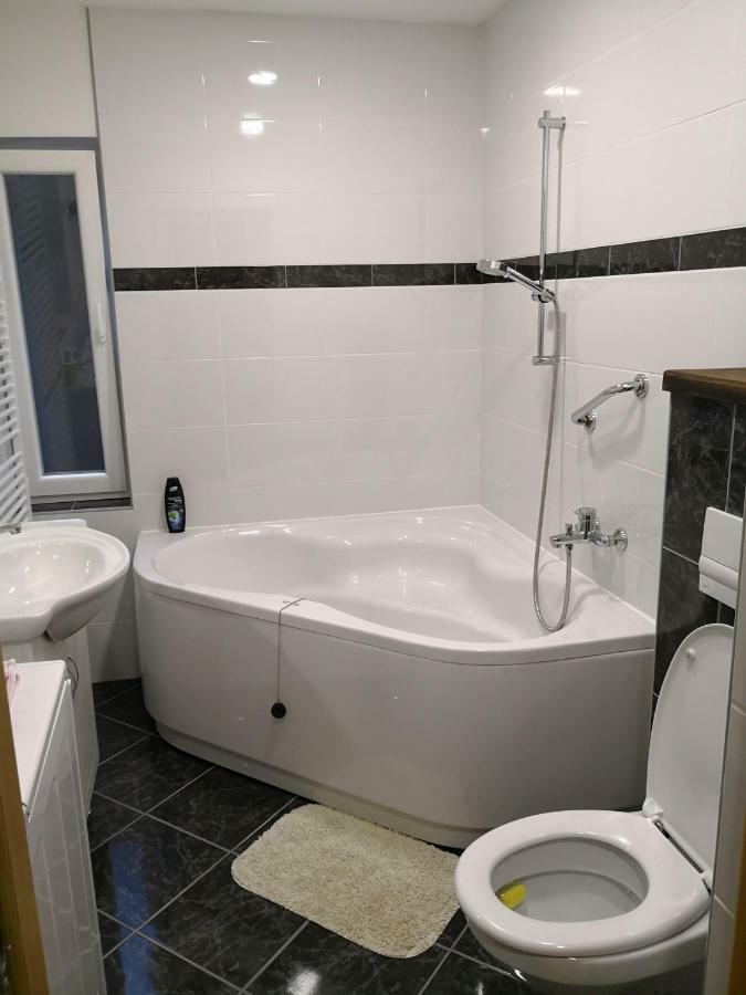 Apartment Maximilian-Free Parking!!! Zagrzeb Zewnętrze zdjęcie